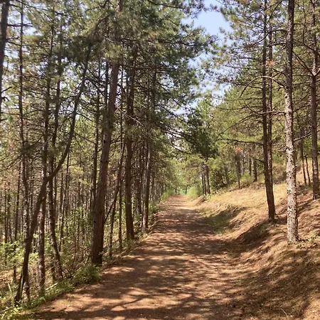 Bella Vista